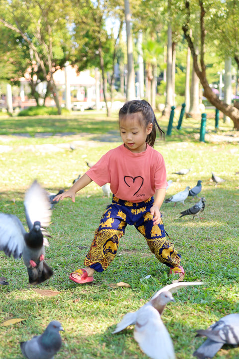 GOLD ELEPHANT KIDS HAREM PANTS